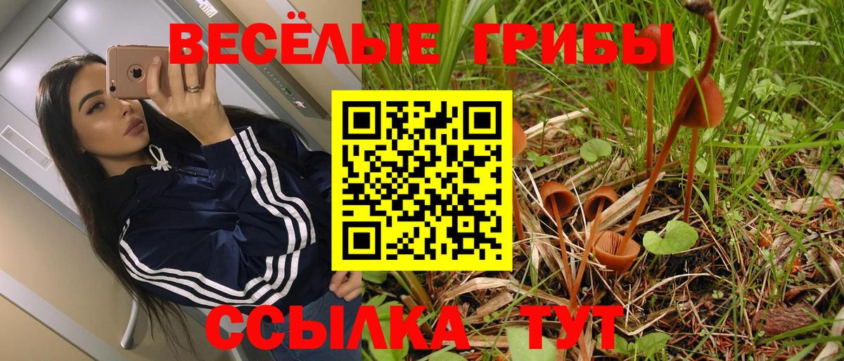 Галлюциногенные грибы прущие грибы  Галлюциногенные грибы прущие грибы  Вход с VPN  Усинск 